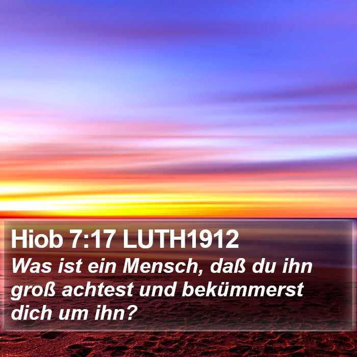 Hiob 7:17 LUTH1912 Bible Study