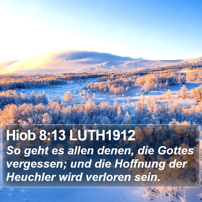 Hiob 8:13 LUTH1912 Bible Study