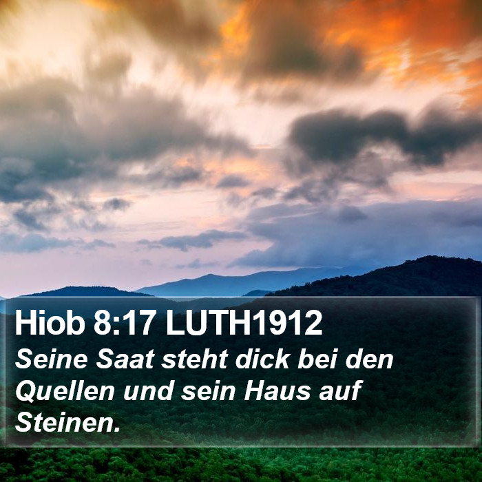 Hiob 8:17 LUTH1912 Bible Study