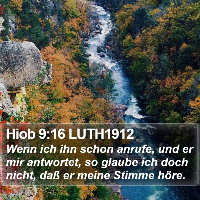 Hiob 9:16 LUTH1912 Bible Study
