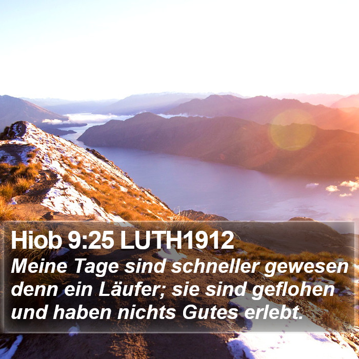 Hiob 9:25 LUTH1912 Bible Study