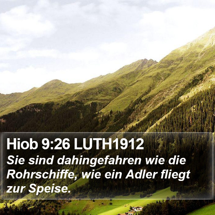 Hiob 9:26 LUTH1912 Bible Study