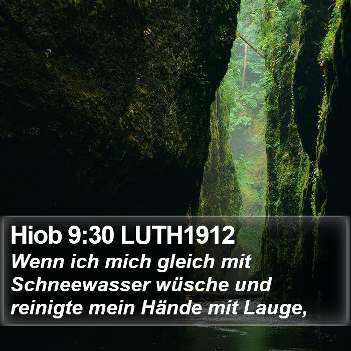 Hiob 9:30 LUTH1912 Bible Study