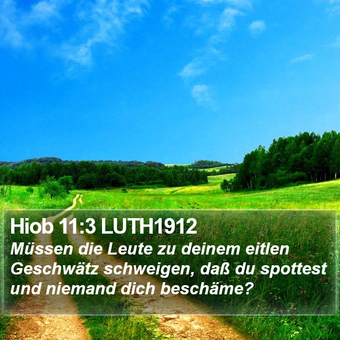 Hiob 11:3 LUTH1912 Bible Study