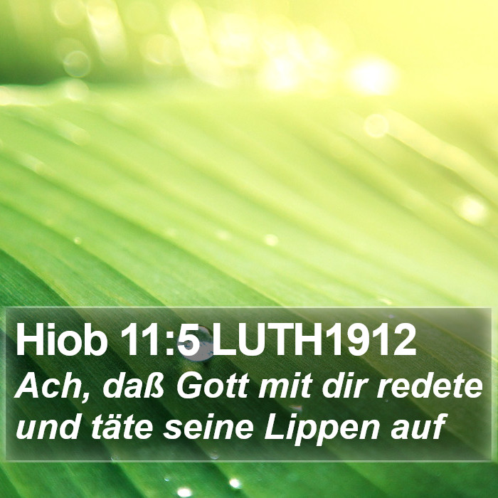 Hiob 11:5 LUTH1912 Bible Study