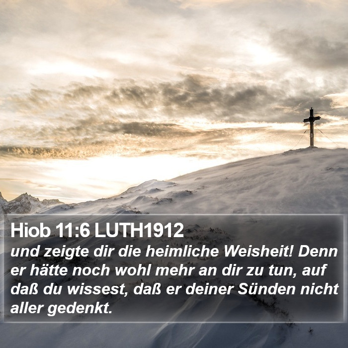 Hiob 11:6 LUTH1912 Bible Study