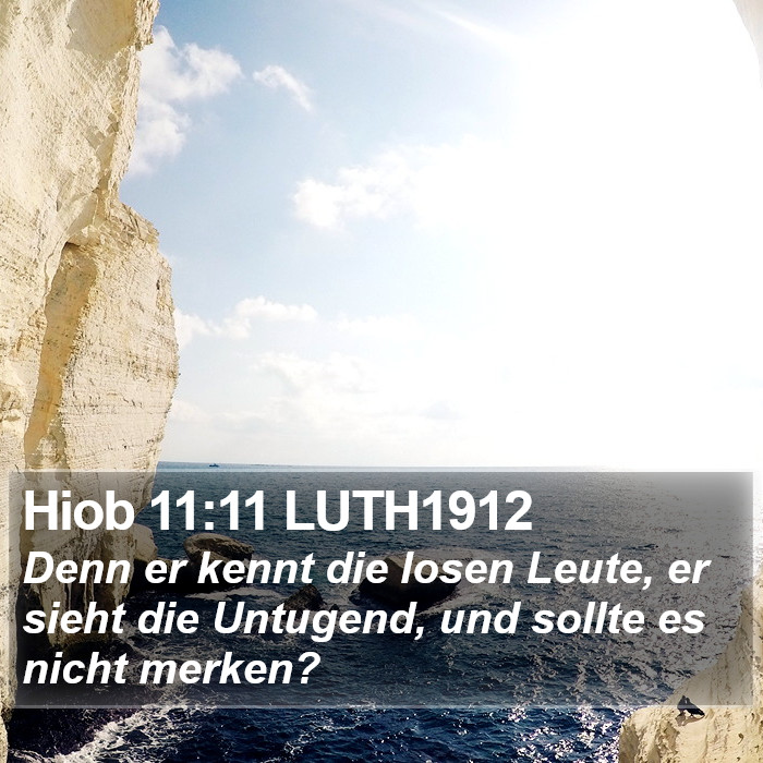 Hiob 11:11 LUTH1912 Bible Study