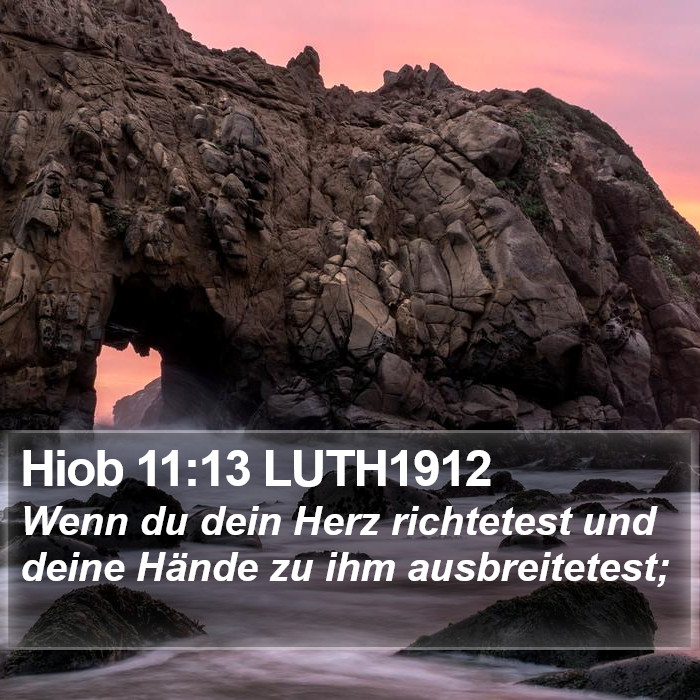 Hiob 11:13 LUTH1912 Bible Study