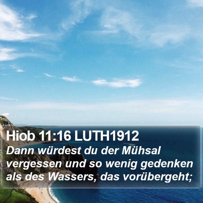 Hiob 11:16 LUTH1912 Bible Study
