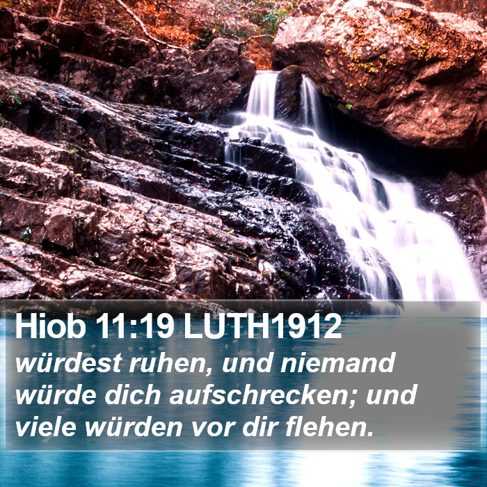 Hiob 11:19 LUTH1912 Bible Study
