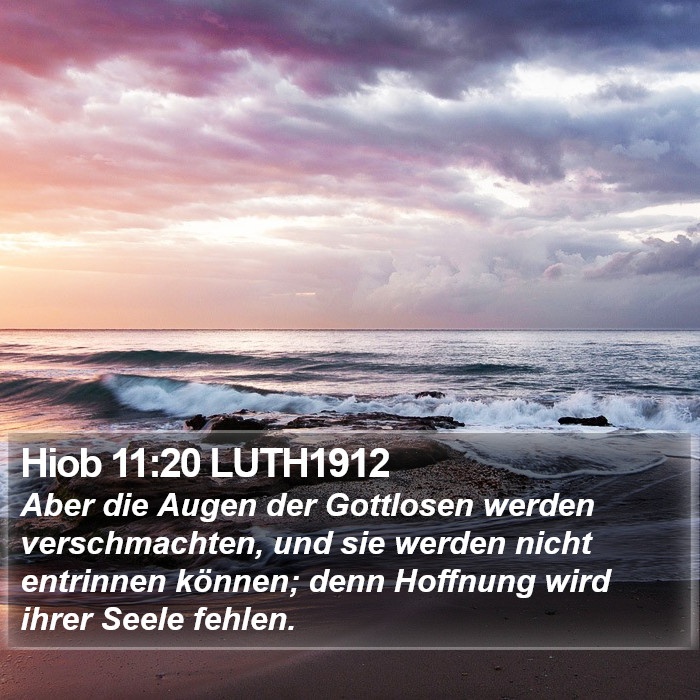 Hiob 11:20 LUTH1912 Bible Study