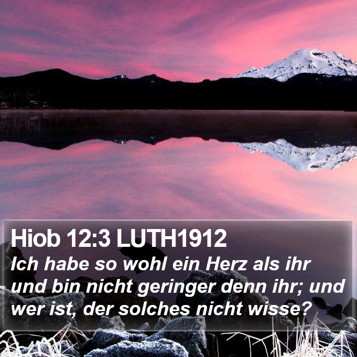 Hiob 12:3 LUTH1912 Bible Study