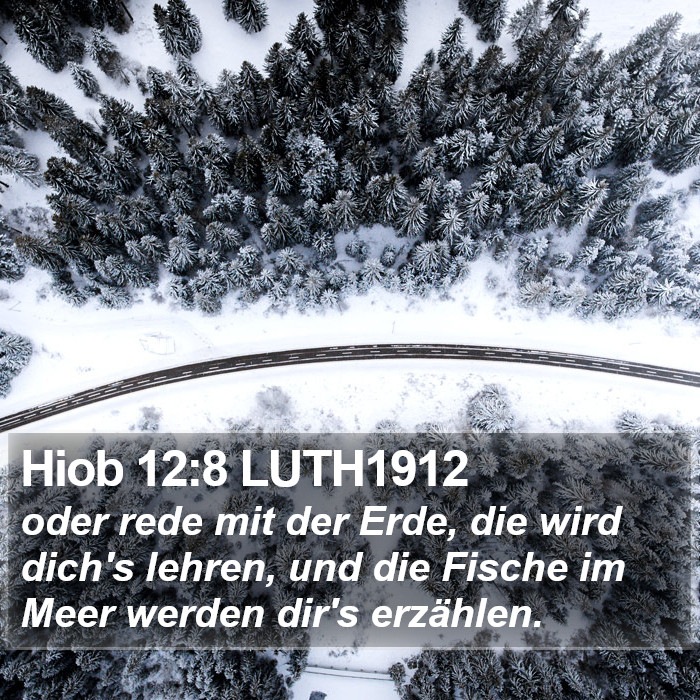 Hiob 12:8 LUTH1912 Bible Study
