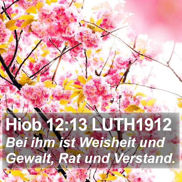 Hiob 12:13 LUTH1912 Bible Study