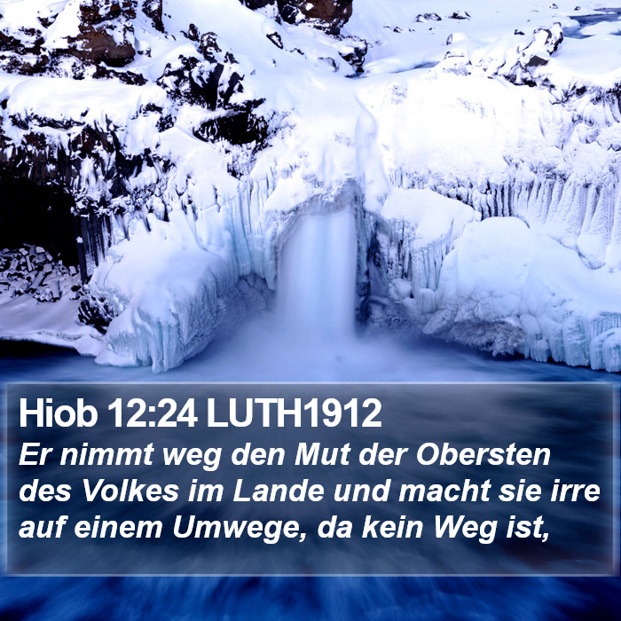 Hiob 12:24 LUTH1912 Bible Study