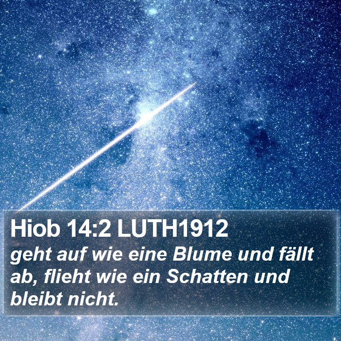 Hiob 14:2 LUTH1912 Bible Study