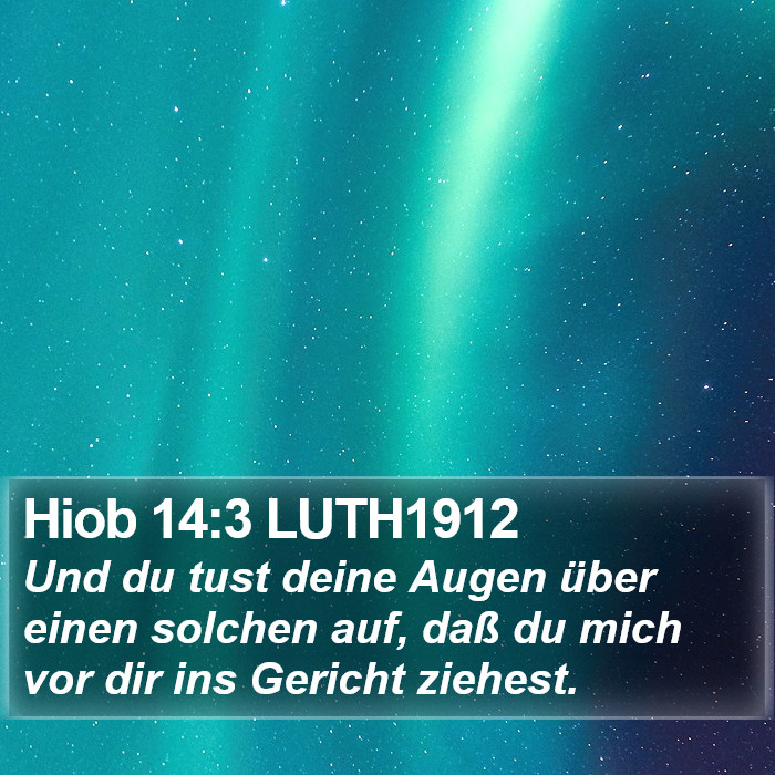 Hiob 14:3 LUTH1912 Bible Study