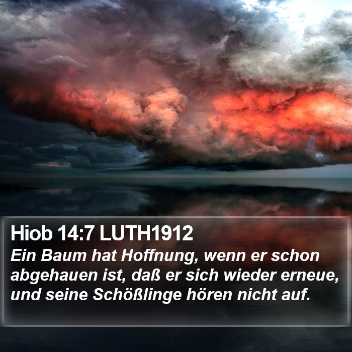 Hiob 14:7 LUTH1912 Bible Study