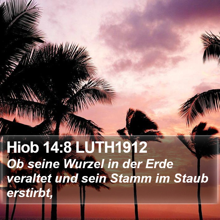 Hiob 14:8 LUTH1912 Bible Study