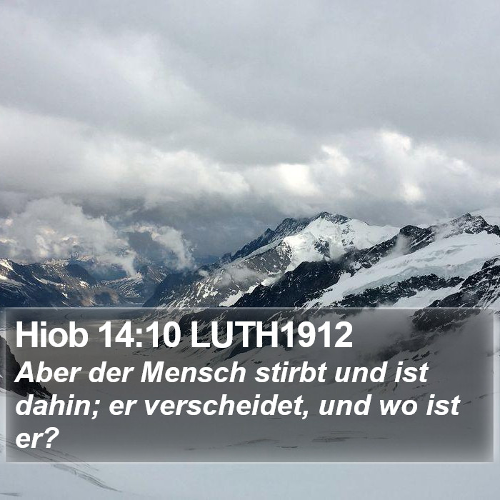 Hiob 14:10 LUTH1912 Bible Study