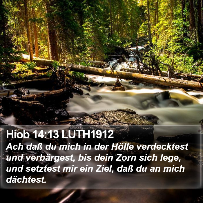 Hiob 14:13 LUTH1912 Bible Study