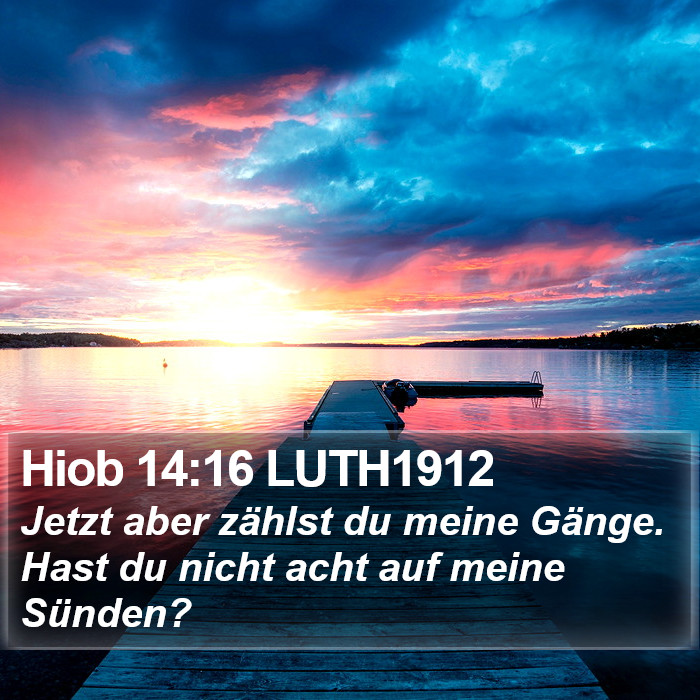 Hiob 14:16 LUTH1912 Bible Study