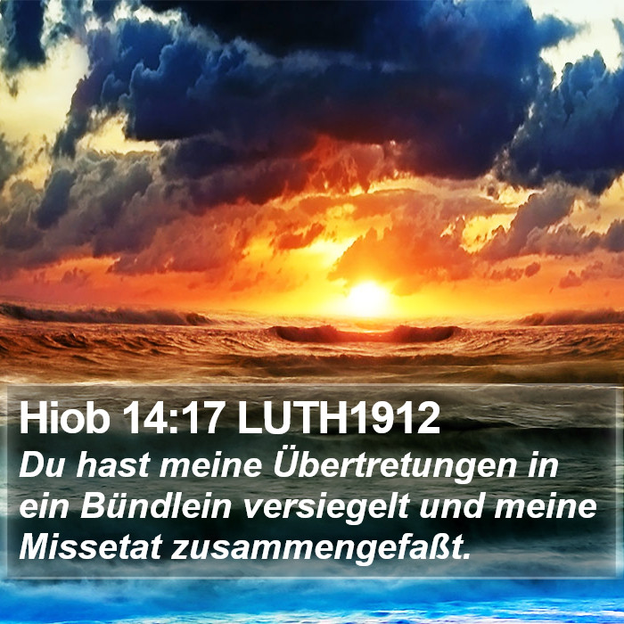 Hiob 14:17 LUTH1912 Bible Study
