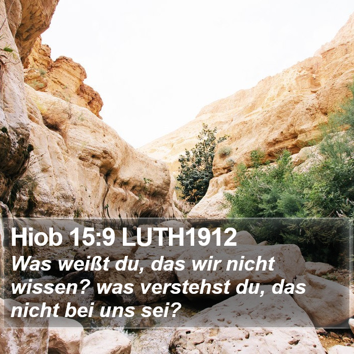 Hiob 15:9 LUTH1912 Bible Study