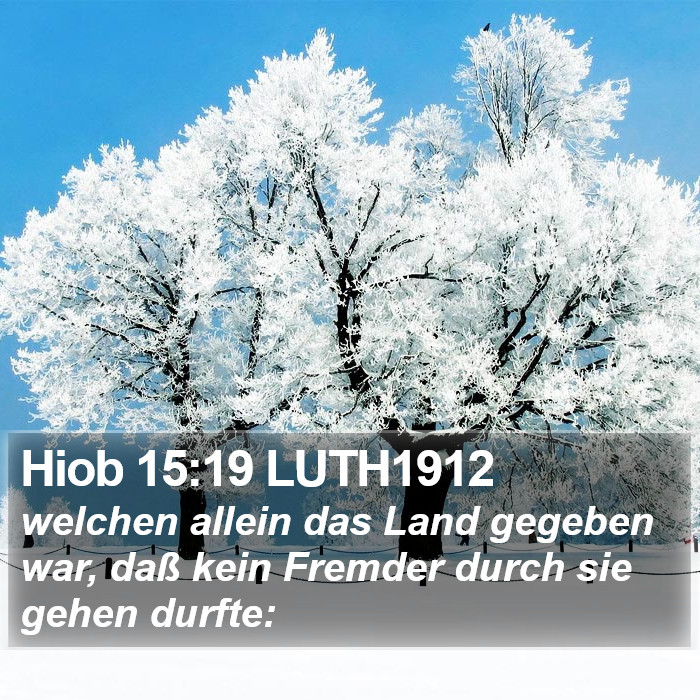 Hiob 15:19 LUTH1912 Bible Study