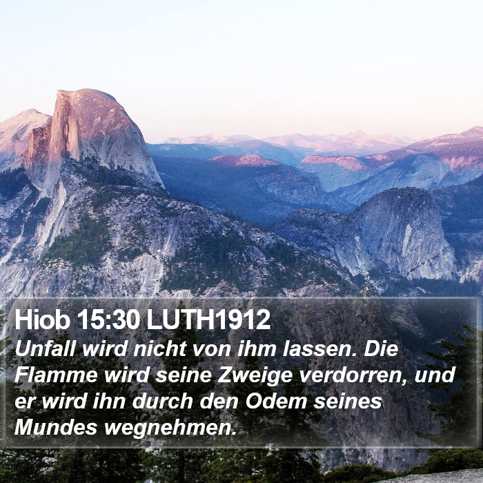 Hiob 15:30 LUTH1912 Bible Study