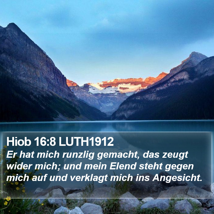 Hiob 16:8 LUTH1912 Bible Study