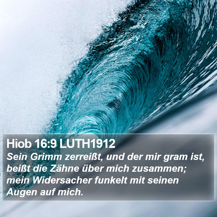 Hiob 16:9 LUTH1912 Bible Study