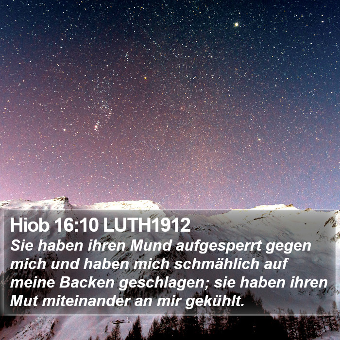 Hiob 16:10 LUTH1912 Bible Study