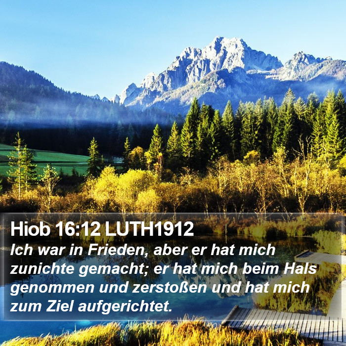 Hiob 16:12 LUTH1912 Bible Study