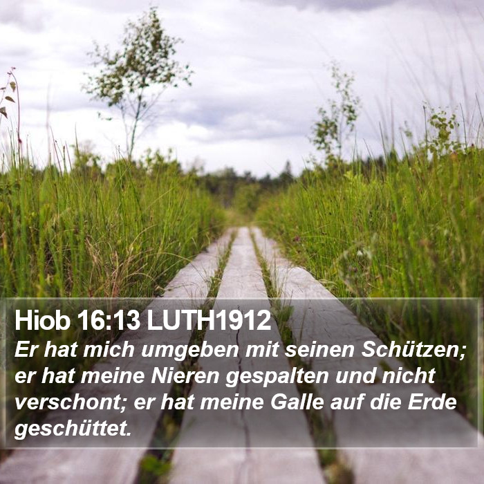 Hiob 16:13 LUTH1912 Bible Study