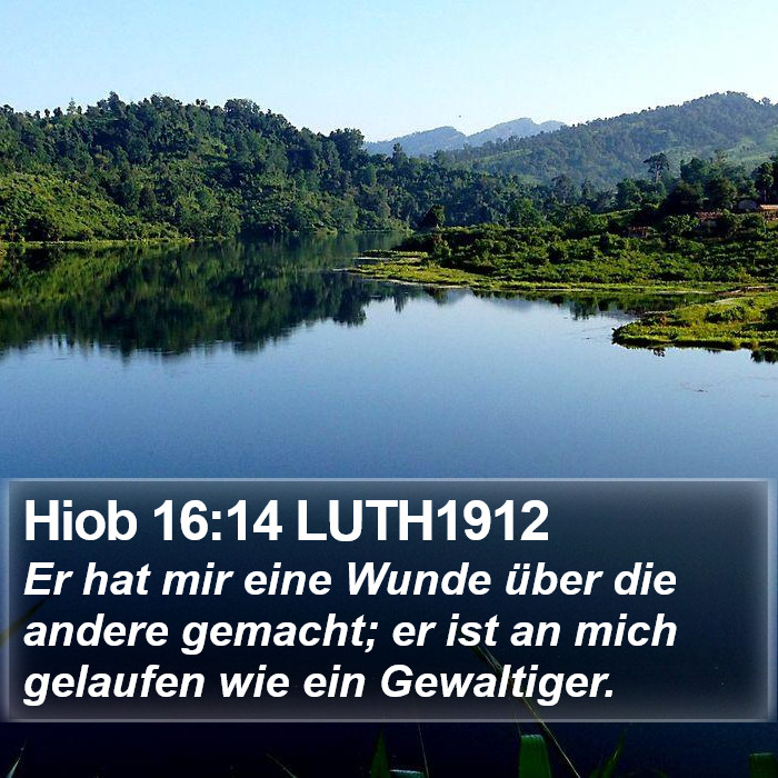Hiob 16:14 LUTH1912 Bible Study