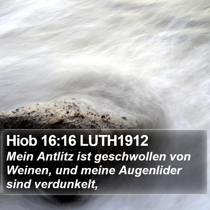 Hiob 16:16 LUTH1912 Bible Study
