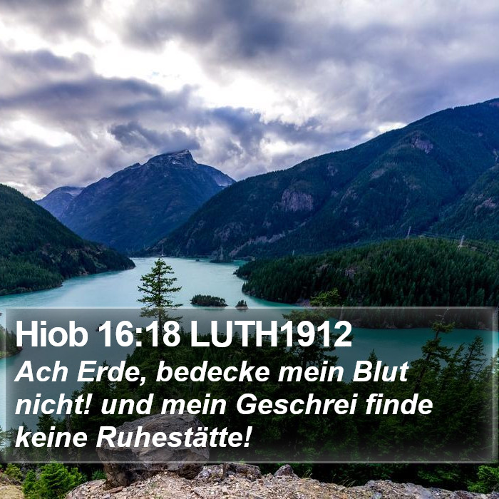 Hiob 16:18 LUTH1912 Bible Study