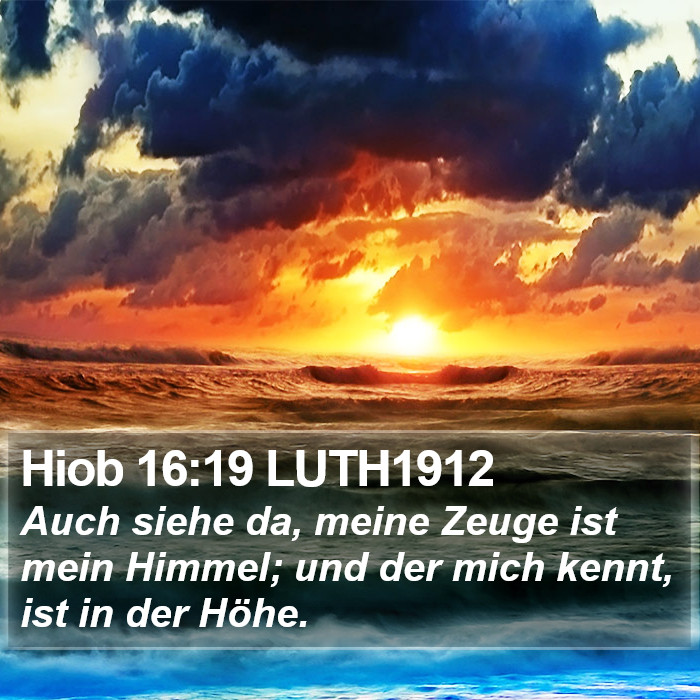 Hiob 16:19 LUTH1912 Bible Study