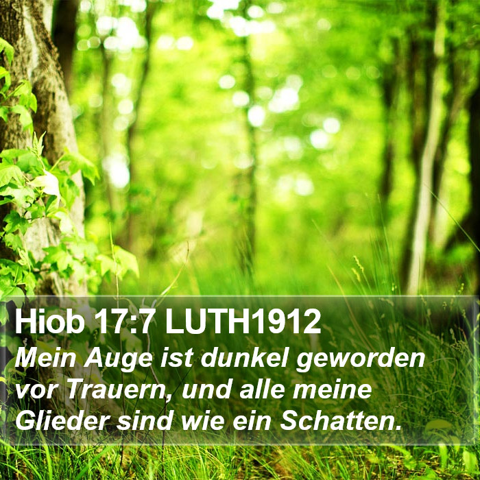 Hiob 17:7 LUTH1912 Bible Study