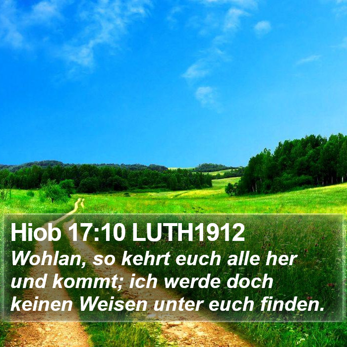 Hiob 17:10 LUTH1912 Bible Study