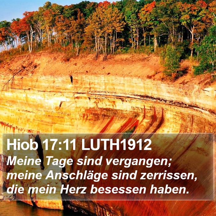 Hiob 17:11 LUTH1912 Bible Study