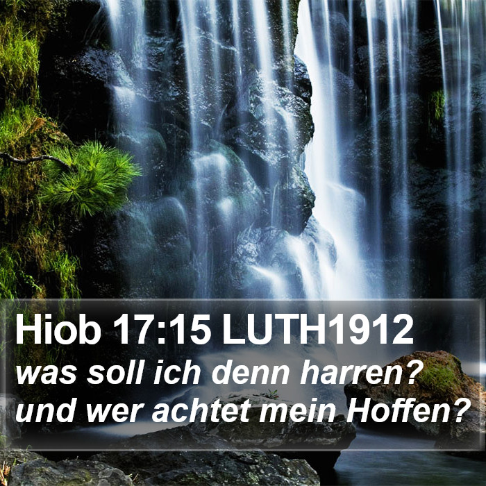 Hiob 17:15 LUTH1912 Bible Study