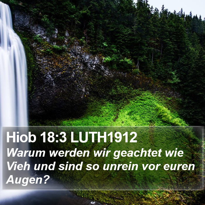 Hiob 18:3 LUTH1912 Bible Study