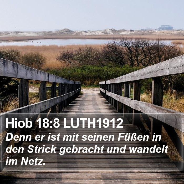 Hiob 18:8 LUTH1912 Bible Study