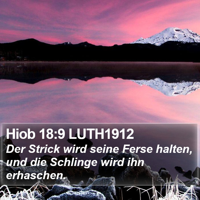 Hiob 18:9 LUTH1912 Bible Study