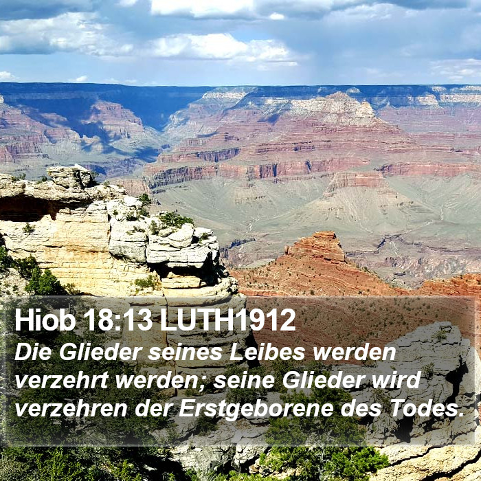 Hiob 18:13 LUTH1912 Bible Study