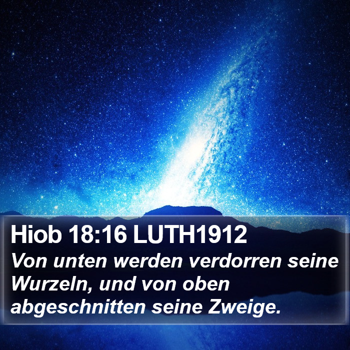Hiob 18:16 LUTH1912 Bible Study