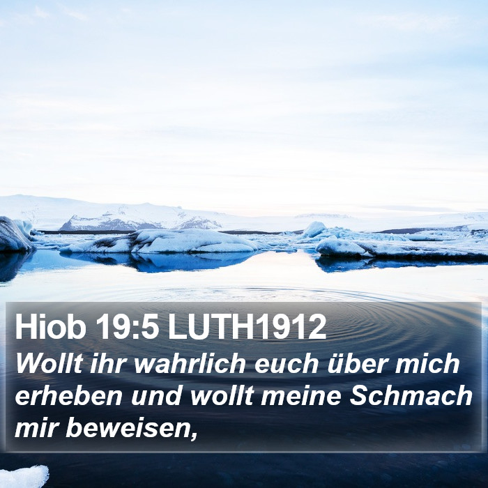 Hiob 19:5 LUTH1912 Bible Study