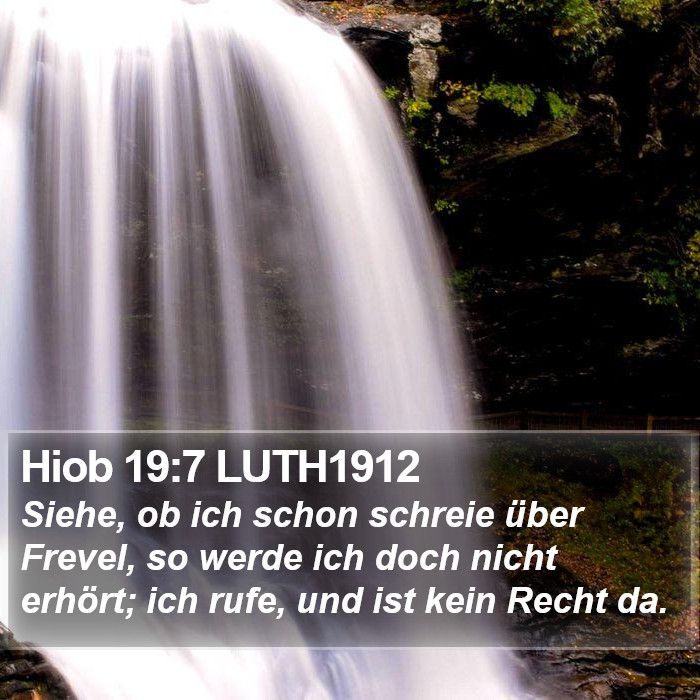 Hiob 19:7 LUTH1912 Bible Study
